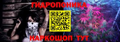 индика Будённовск