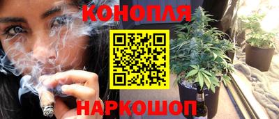 бошки Волгодонск