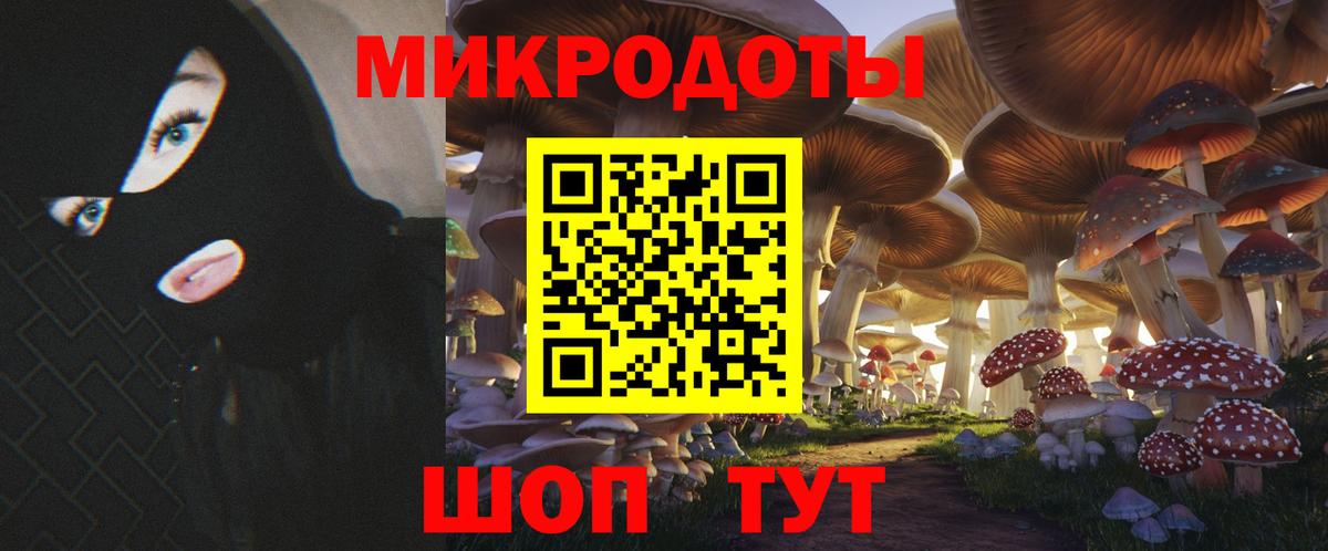 Псилоцибиновые грибы Psilocybine cubensis  Вход с VPN  Луга 