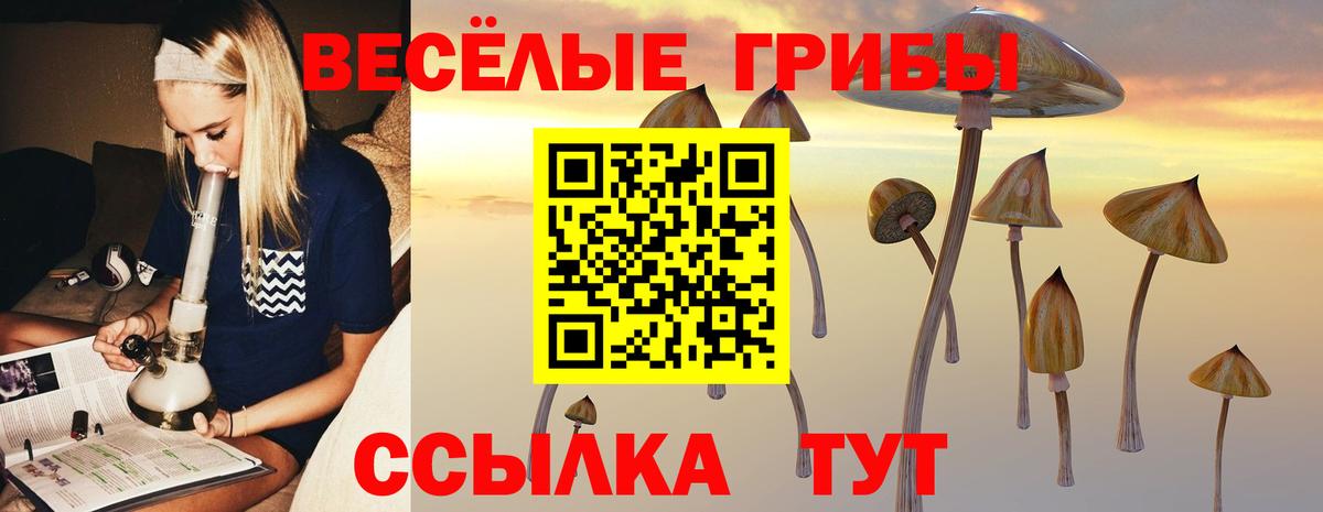 Псилоцибиновые грибы мицелий Луга